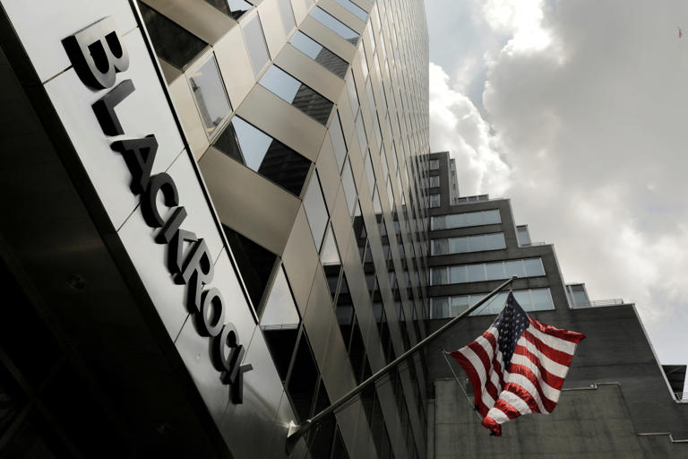 BlackRock reinventa su manual de inversión: “Los bancos centrales ya no van a salir al rescate”